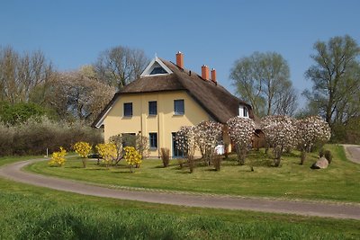 sonniges Reetdachhaus Malve 1