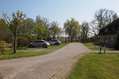 Lichtdurchflutetes Reetdachhaus