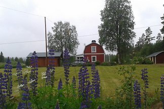 Ferienhaus mit Hot Tub Sauna