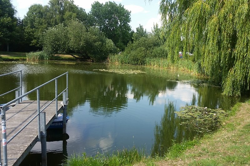 Village pond of Groß Niendorf
