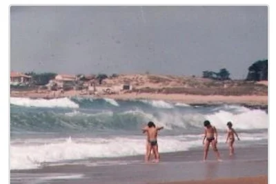 Ferienhaus Les Baleines