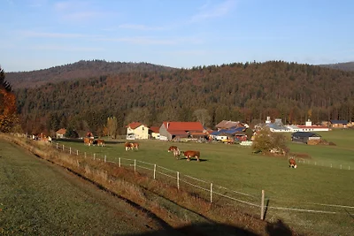 *****Ferienwohnung/Ferienhaus Anna