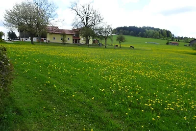*****Ferienwohnung/Ferienhaus Anna