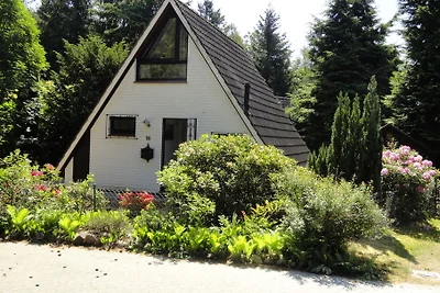 Ferienhaus Holunder