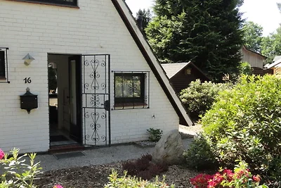Ferienhaus Holunder