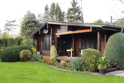 Ferienhaus Ginster