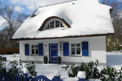 Casa Reed Trassenheide