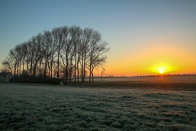 De Zonnehof "Villas Domburg"