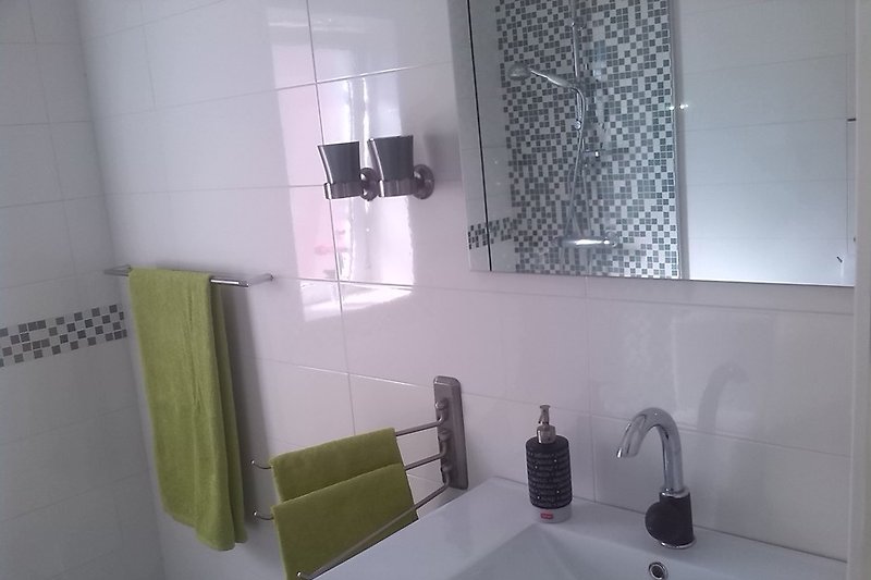 Badezimmer mit 80x120 Dusche