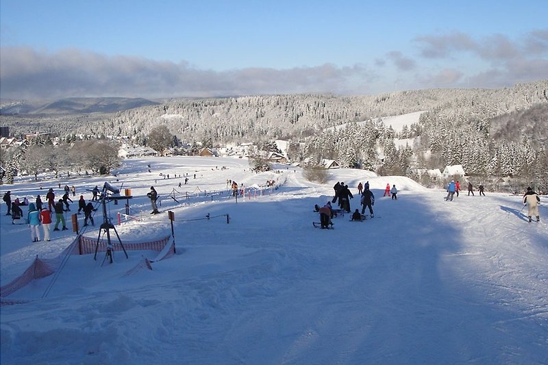 Die Skiwiese  ist nur 500 Meter von unserem Haus entfernt. Wintervergnügen pur. Skiverleih vor Ort 
