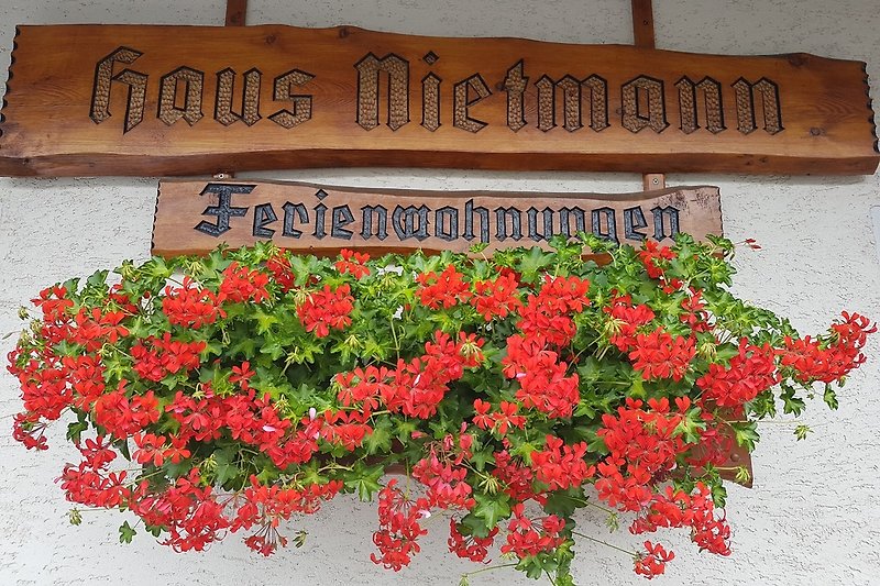 Willkommen zum Urlaub im Gästehaus Nietmann iun Altenau im Oberharz