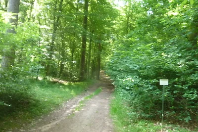 Haus Maria HDH