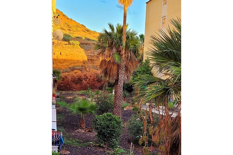 Monte Amarilla