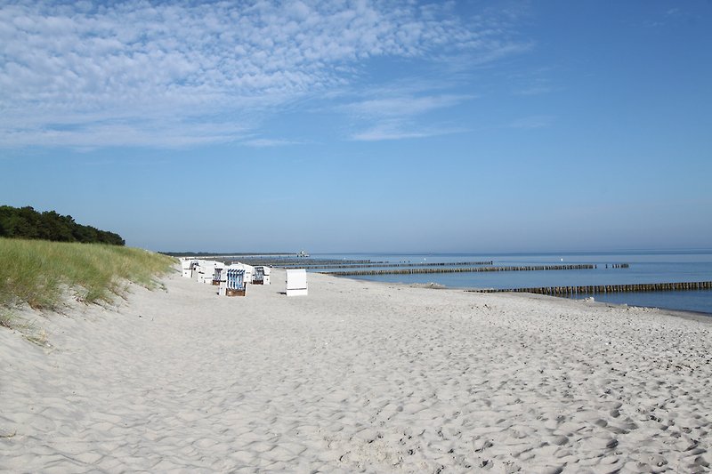 Plaża Zingst