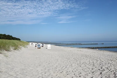 Boddenkieker W-LAN
