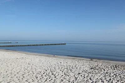 Boddenkieker W-LAN