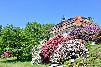 Ferienwohnung Natur und Kunst
