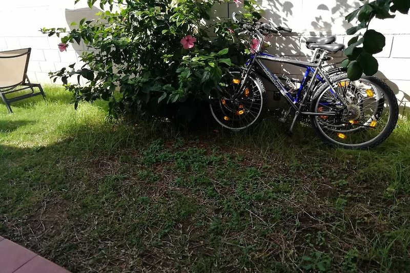 Fahrräder, Pflanzen und Reifen in einem grünen Garten.