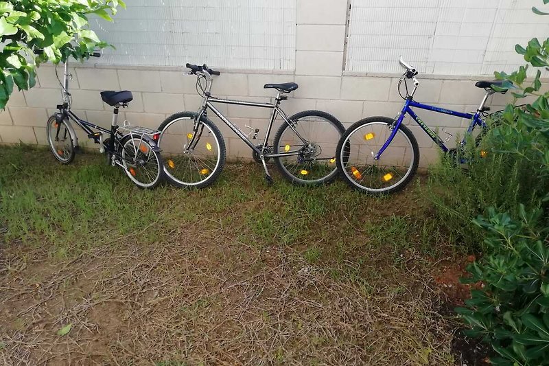 Fahrrädern für die ganze Familie