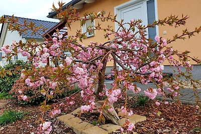 Ferienhaus "Bella Vita" Mühlfeldsee