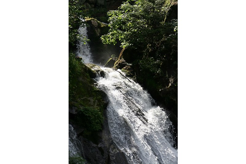 Wasserfälle Triberg