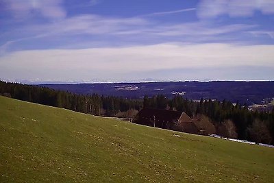 S´Neschtle am Hochfirscht