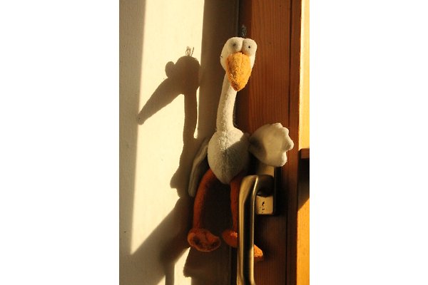 Familie R. Storch Familie R. Storch