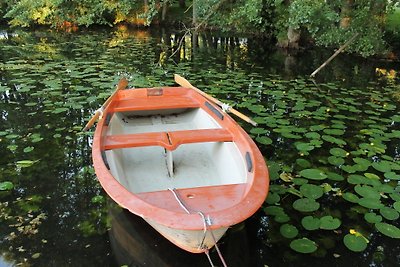 Vakantiehuis Ontspannende vakantie Hohen Pritz