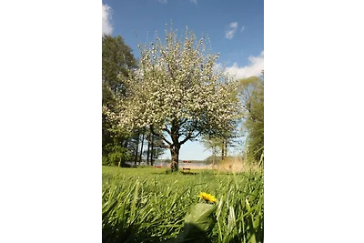Ferienwohnung am See