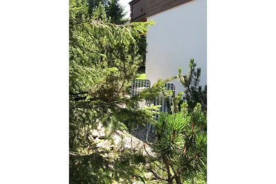 Hochkrimml 76