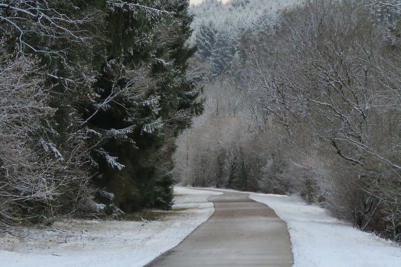 Radweg im Winter