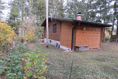Kuća za odmor Alfbachtal