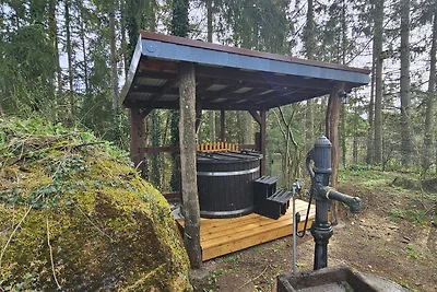 Ferienhaus Alfbachtal