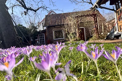Idilliaca casa con giardino vicino al centro