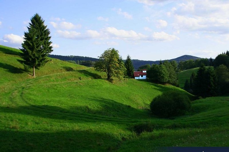 Jagdhütte Schnepfenloch