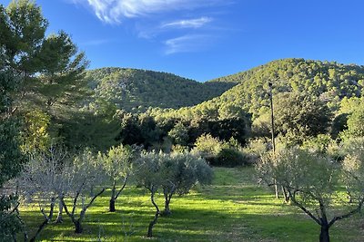 Finca Villa Lluc, Pollenca,Mallorca