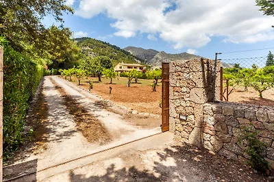 Finca Villa Lluc