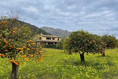 Finca Villa Lluc