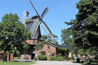 Fewo-Sehestedt am Jadebusen