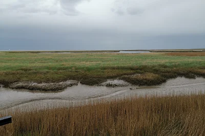 Fewo-Sehestedt am Jadebusen