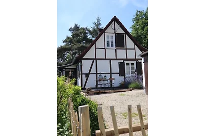 Linnehus am Diemelsteig