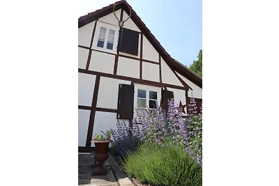 Linnehus am Diemelsteig