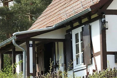 Linnehus am Diemelsteig