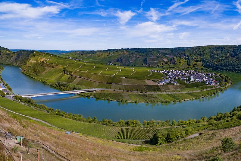 Blick vom Grundstück