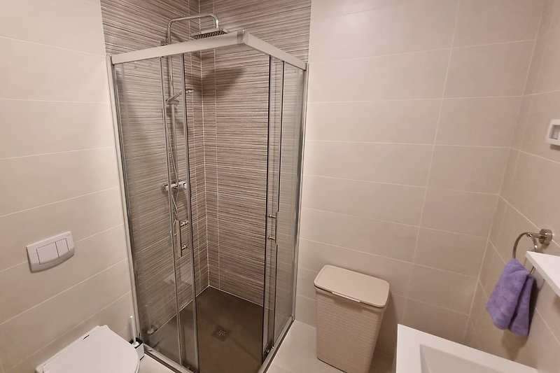 Modernes Badezimmer mit stilvoller Dusche und Toilette.