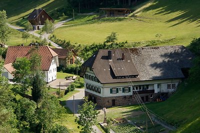 Casa di vacanza Bühler