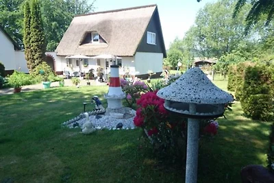 Haus Seerose Sellin  Neuensien 2