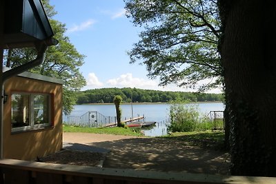 Neuklosteraner Seeblick Karpfen 3-5