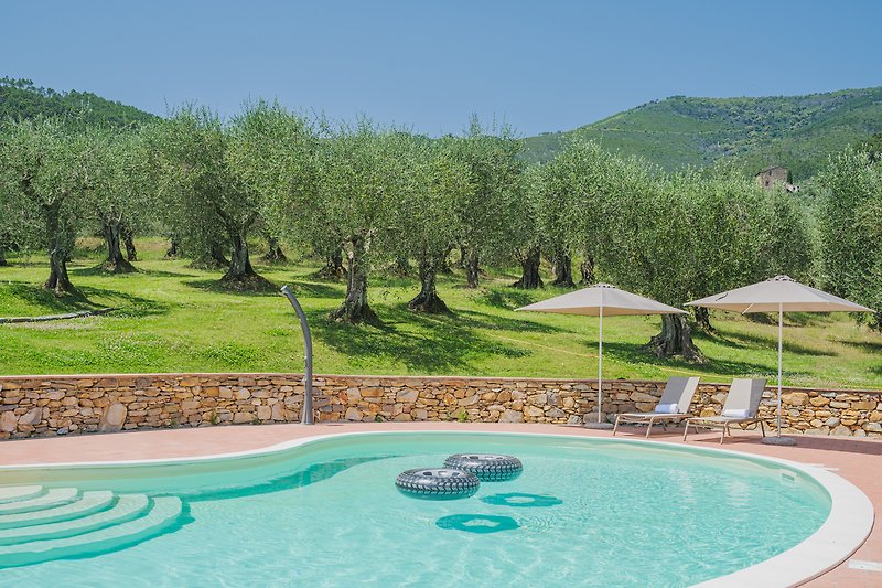 Privater Pool mit Garten, Bergen und Liegestühlen. CASA DEGLI OLIVI DI DANTE - TUSCANHOUSES