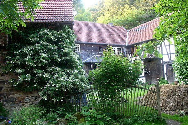 Ferienwohnung Bad Wildungen